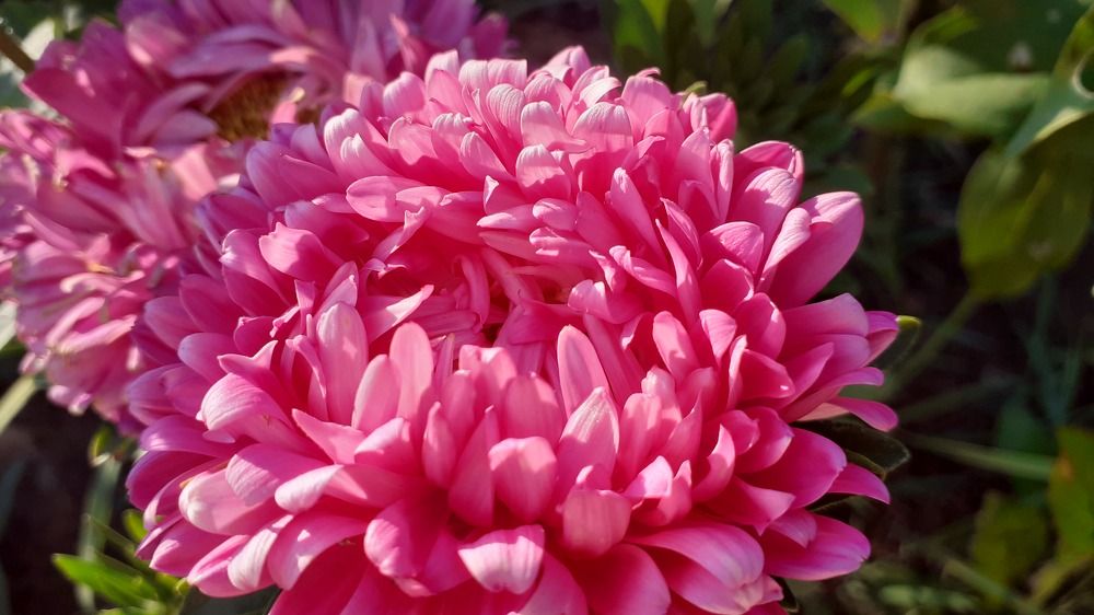 Photograph by Елена Лещева