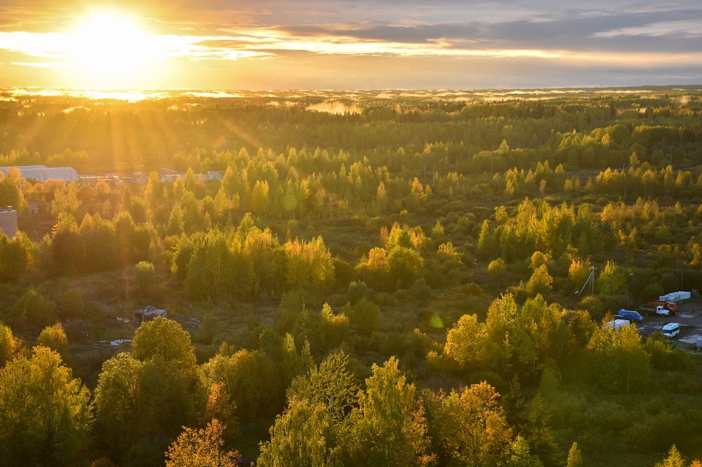 Золотая осень.