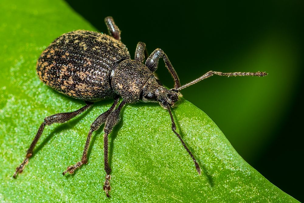 Фотография автора Ovidiu-Daniel Iordache