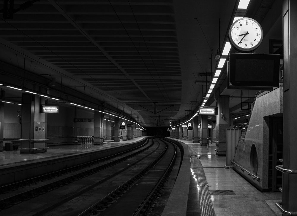 Photograph by Milos Andjusic