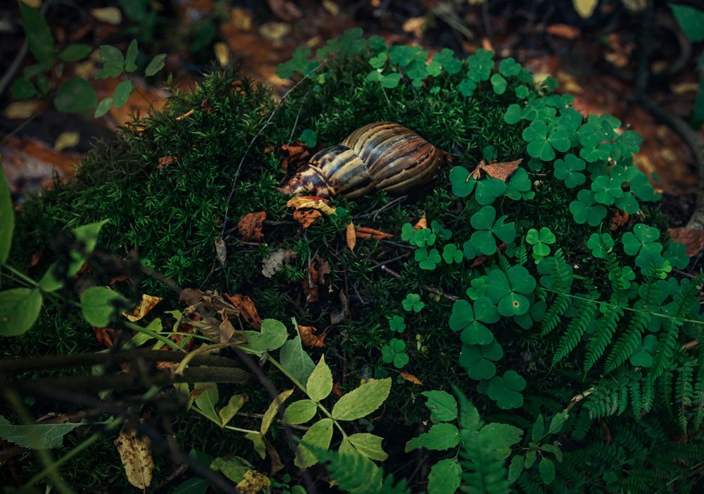 Photograph by Елена Лобакова