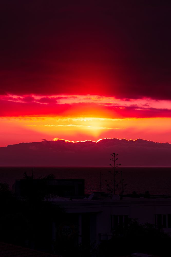 Photograph by Vialeta