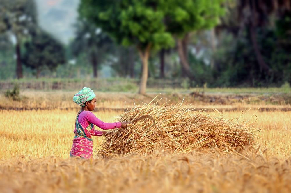 Photograph by Shahariar Alam