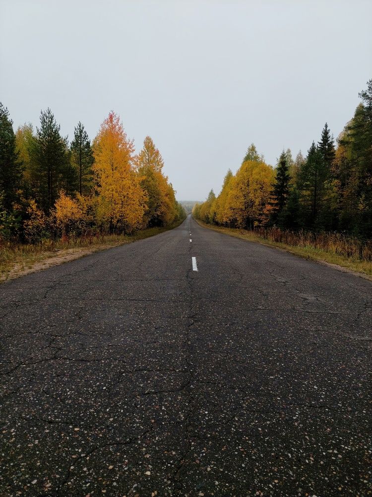 Photograph by Алёна Вороная