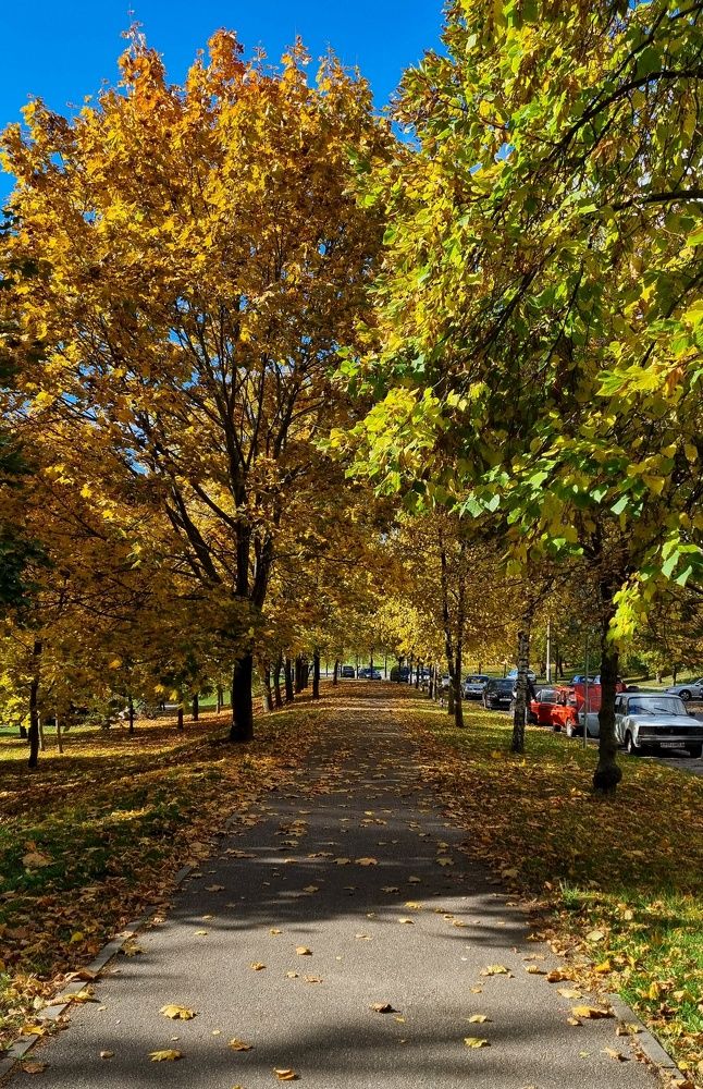 Photograph by Марина Ивасюта