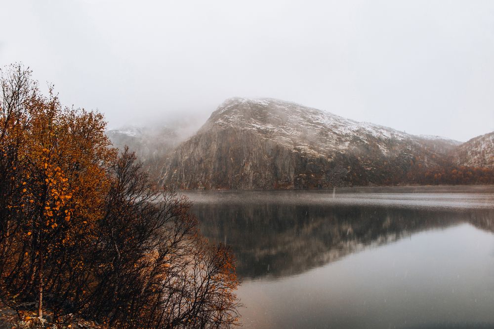 Photograph by Галина Андреева