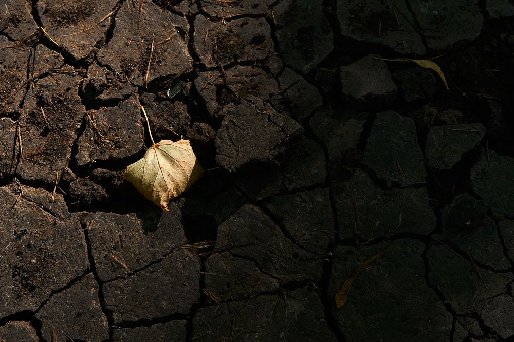 Photograph by Андрей Шишлов