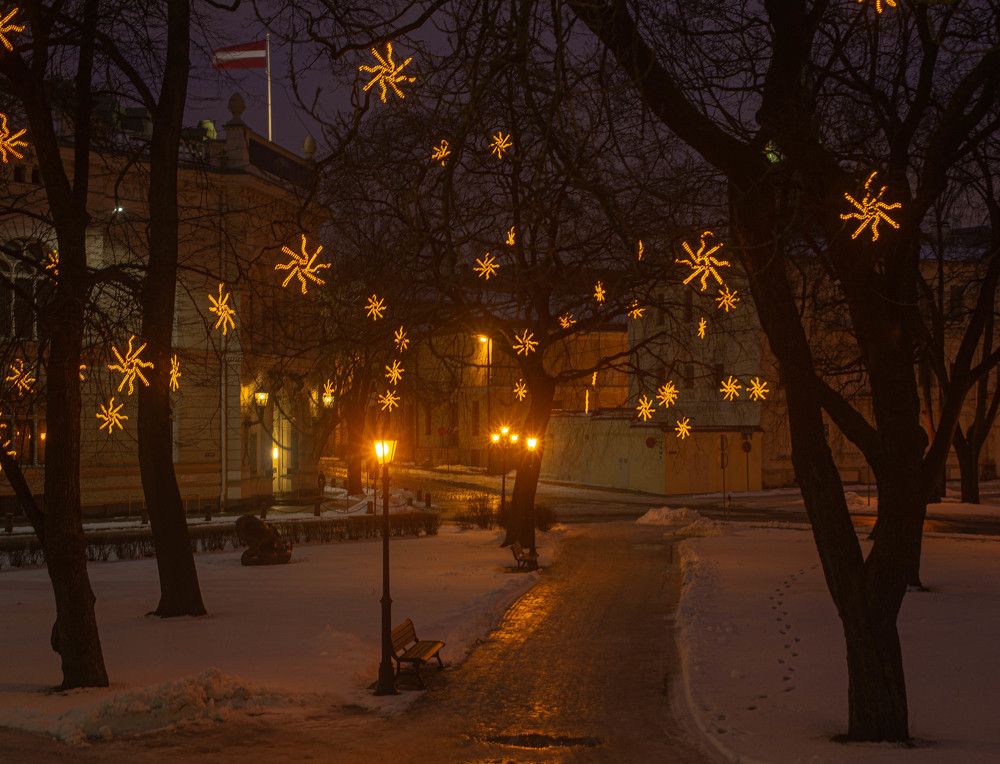 Фотография автора Aлексей Игнатьев