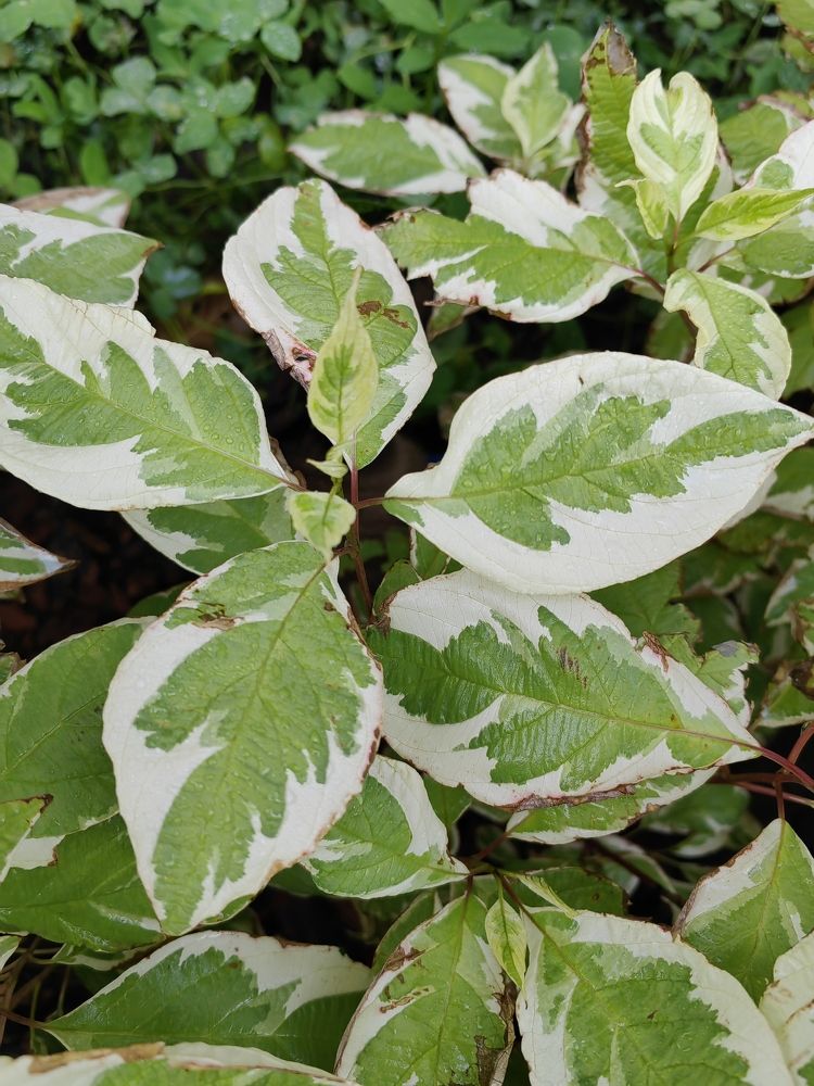 Photograph by Наталья Сергеевна Крылова