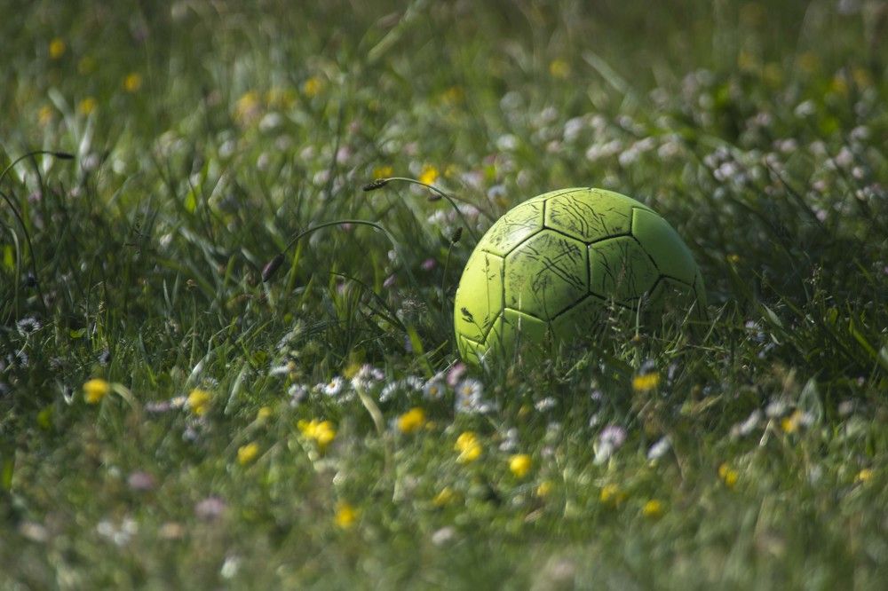 Фотография автора Алексей Головатый