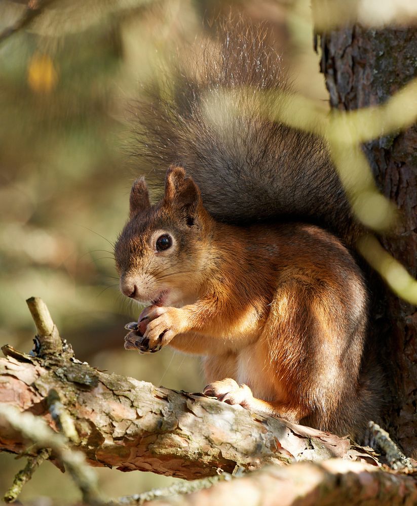 Photograph by Алексей Романов