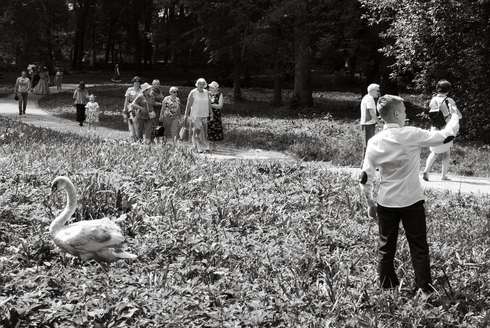 Photograph by Екатерина Бахтинова