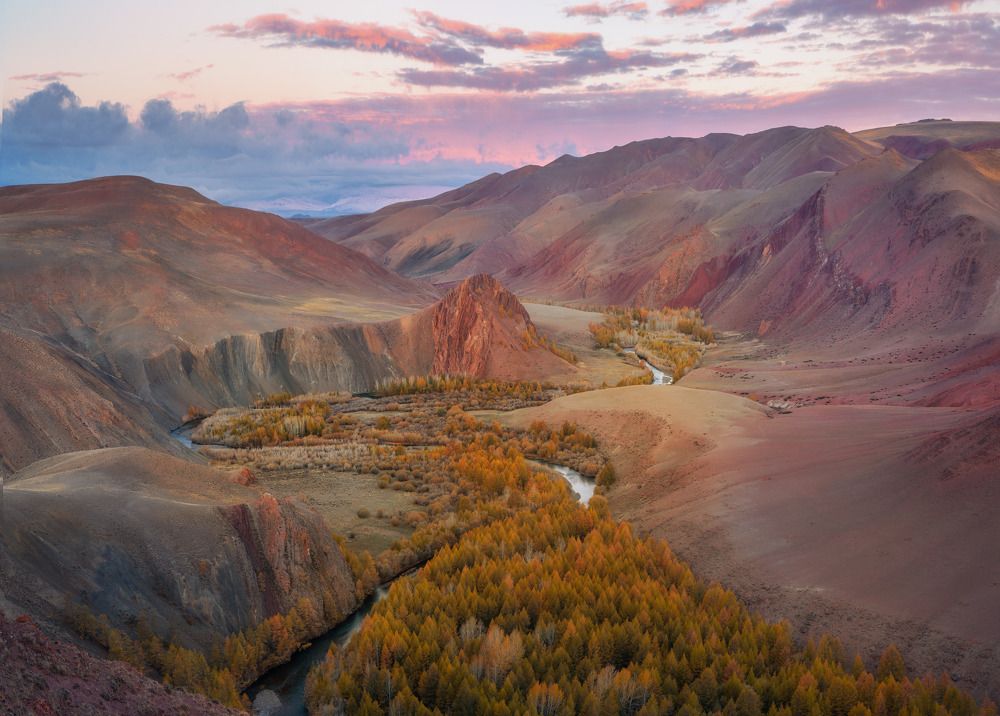 The Way of the World