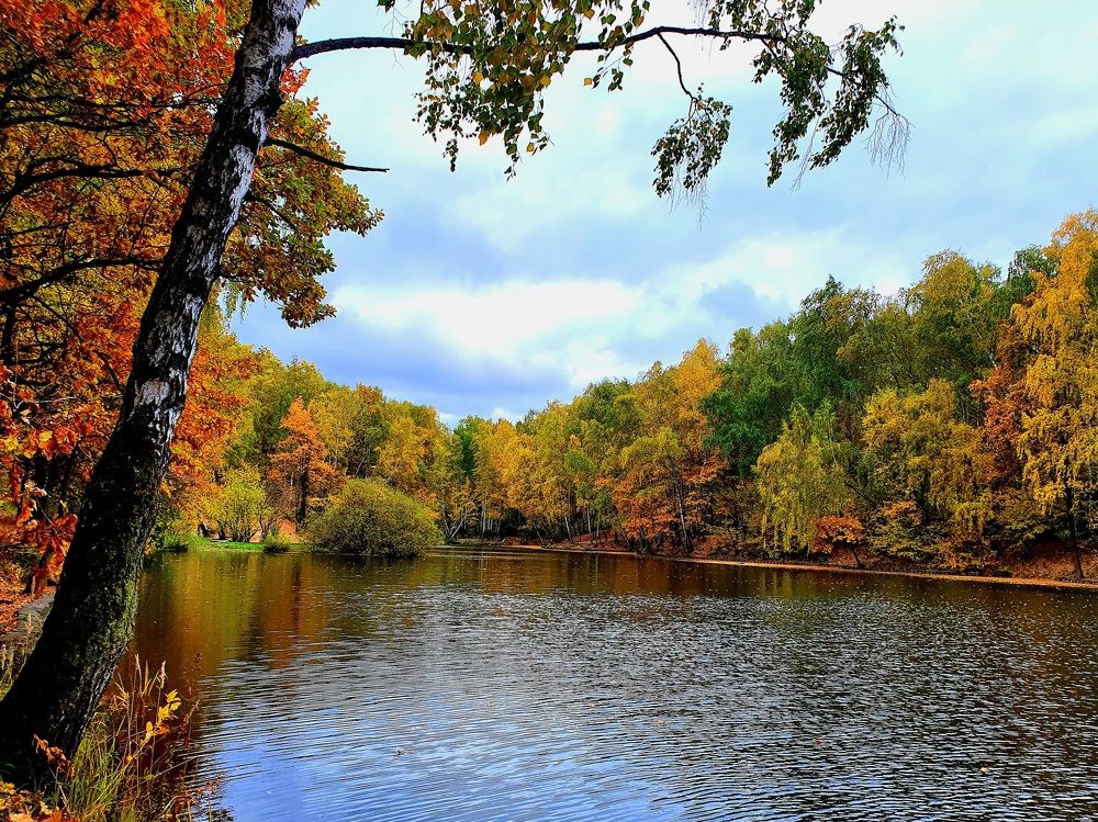 Photograph by Ева К