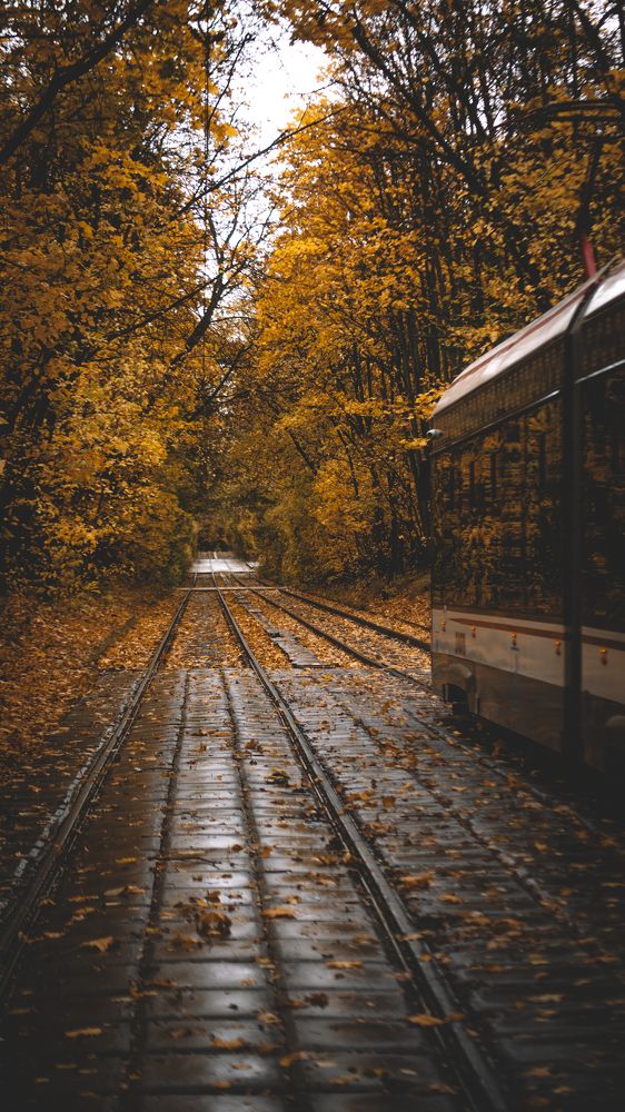 Photograph by Ильдус Шаруков