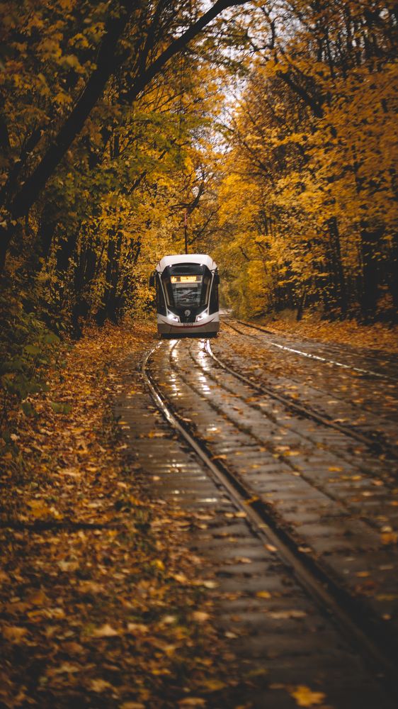 Photograph by Ильдус Шаруков