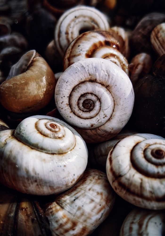 Photograph by Светлана Перминова