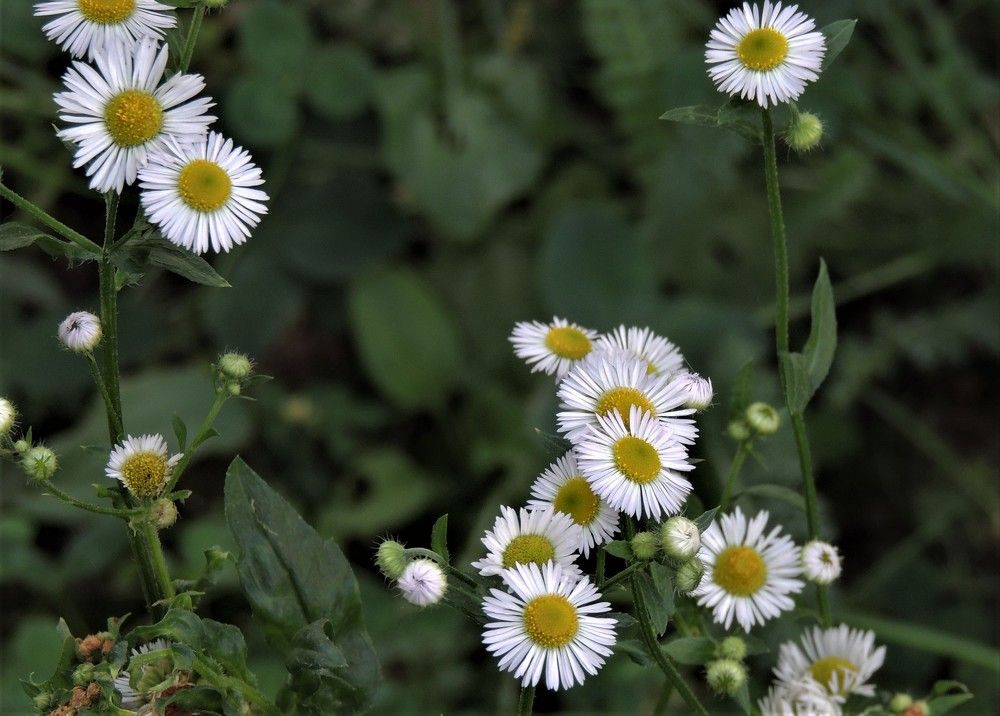 Photograph by Олександр Розум