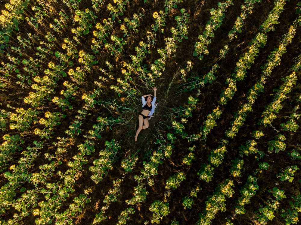 в подсолнухах