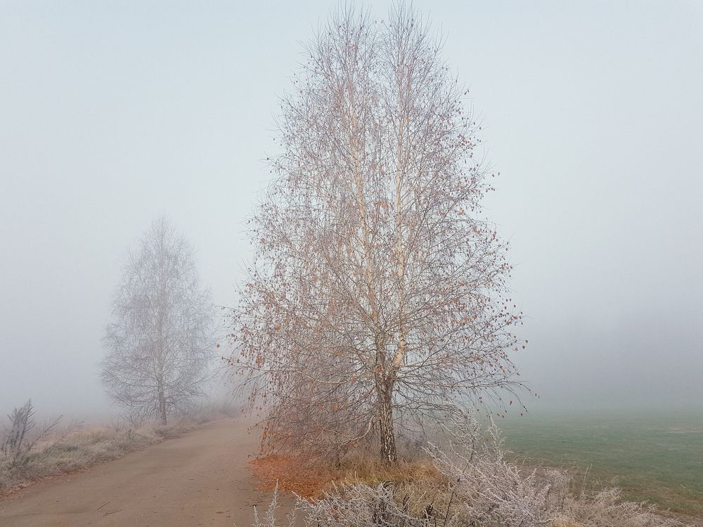 Photograph by Volkova Nataliia