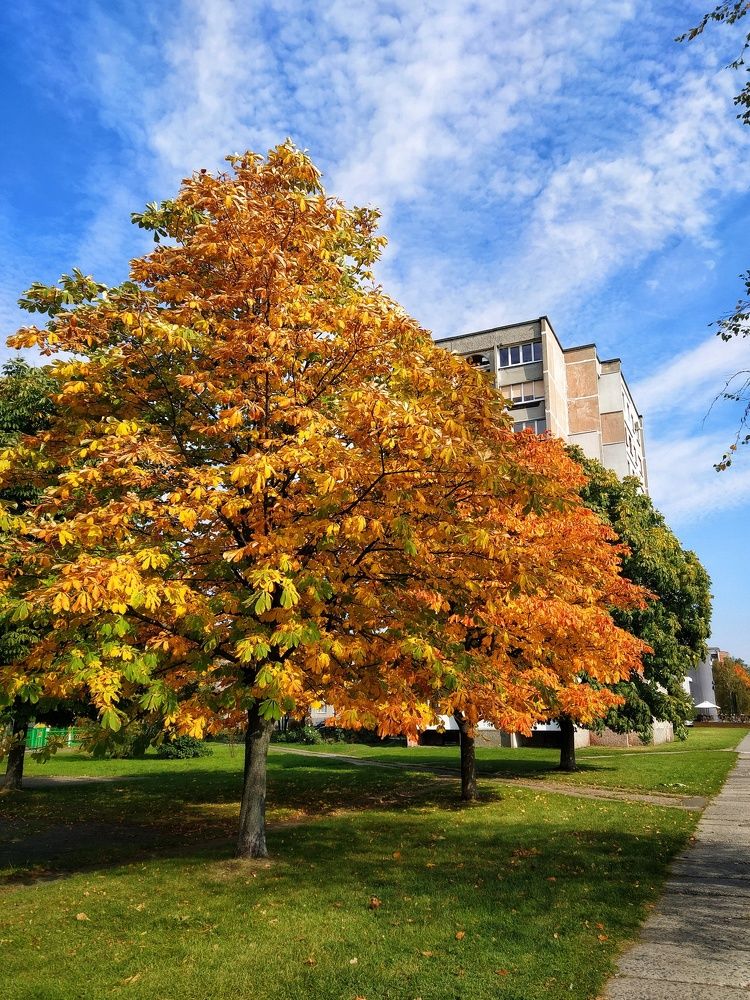 Фотография автора Гвоздецкая Анна