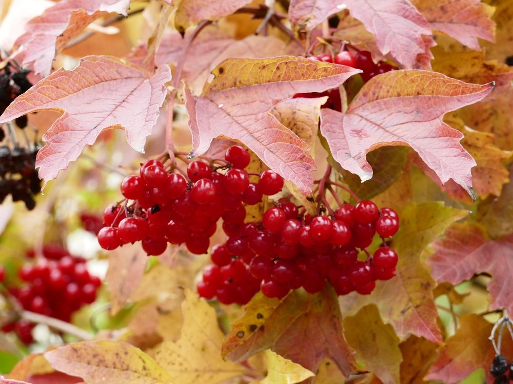 Photograph by Александр Кизим