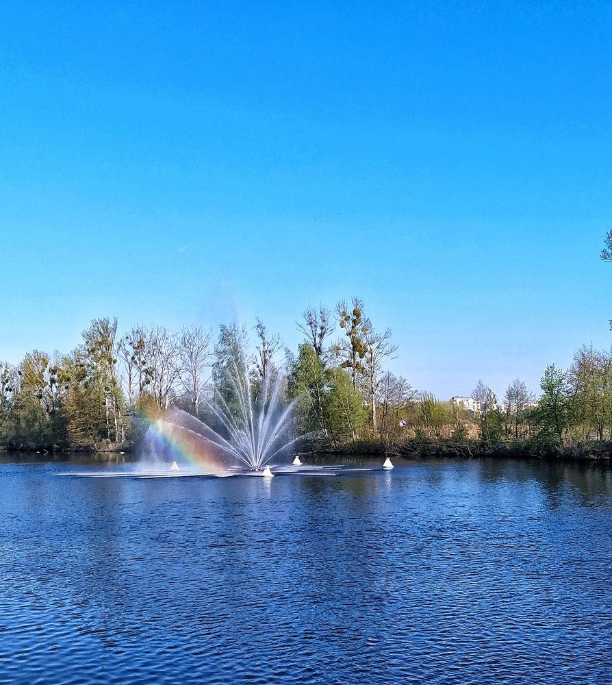 Фотография автора Гвоздецкая Анна