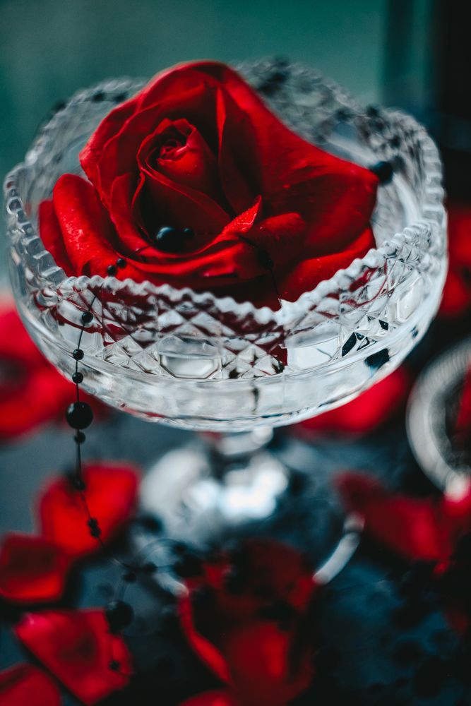 Photograph by irina sherry