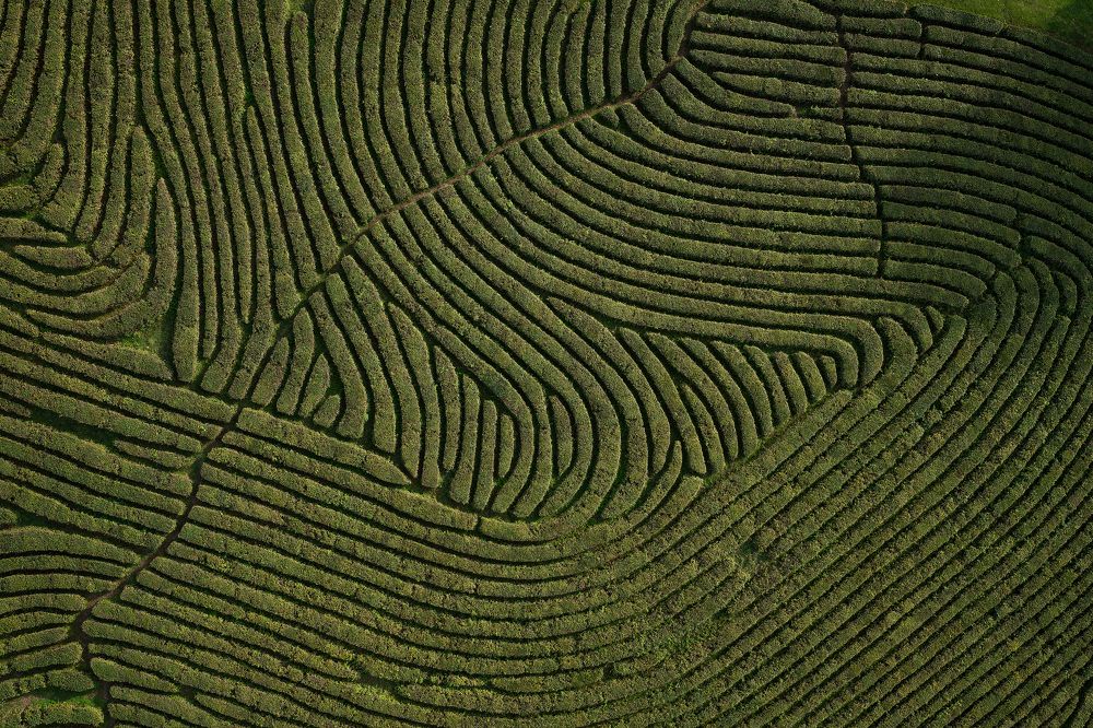 Photograph by Сергей