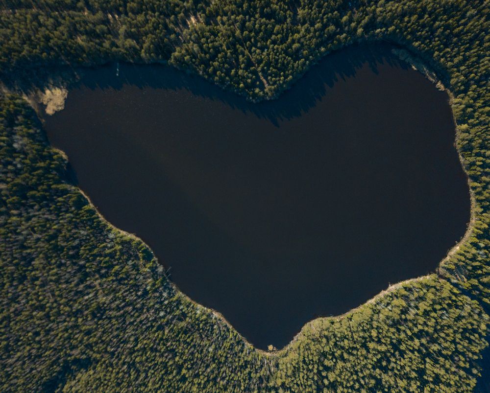 Photograph by Сергей