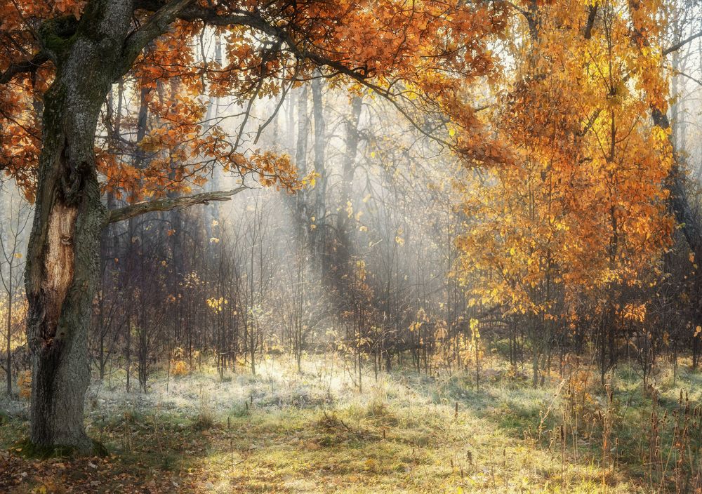 Photograph by Мозжухин Максим