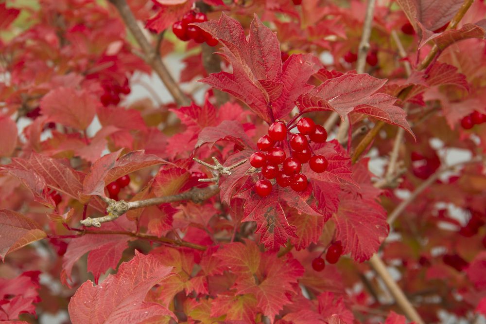 Photograph by Александр Новиков