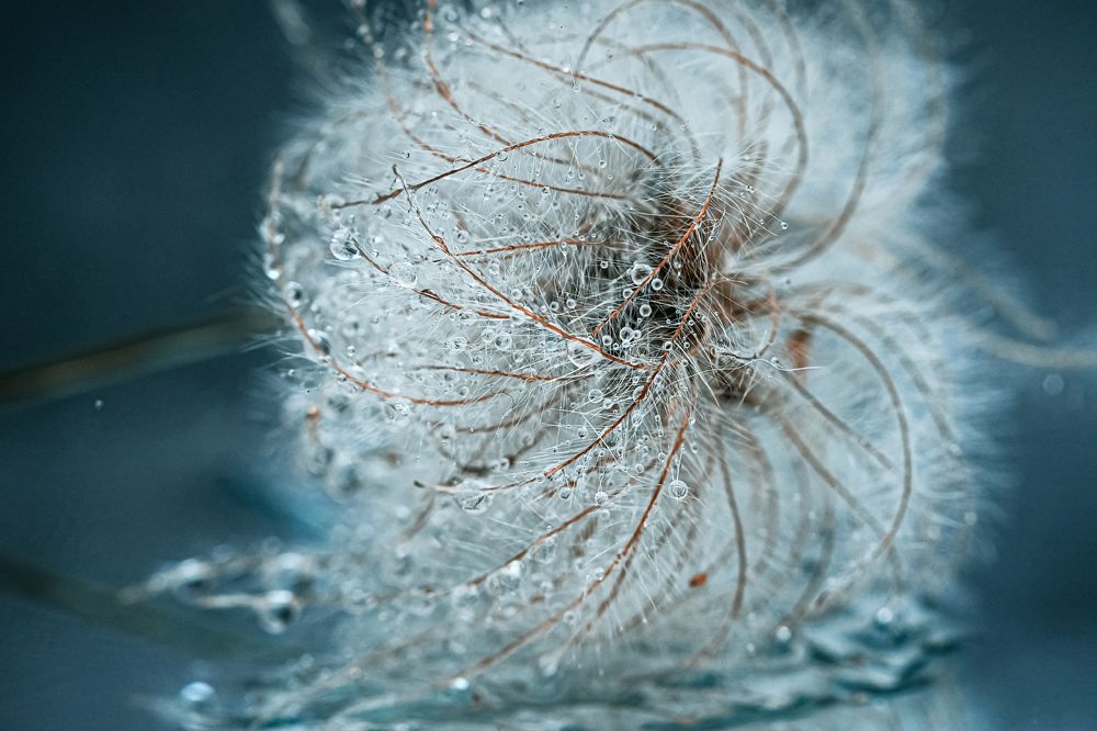 Photograph by irina sherry