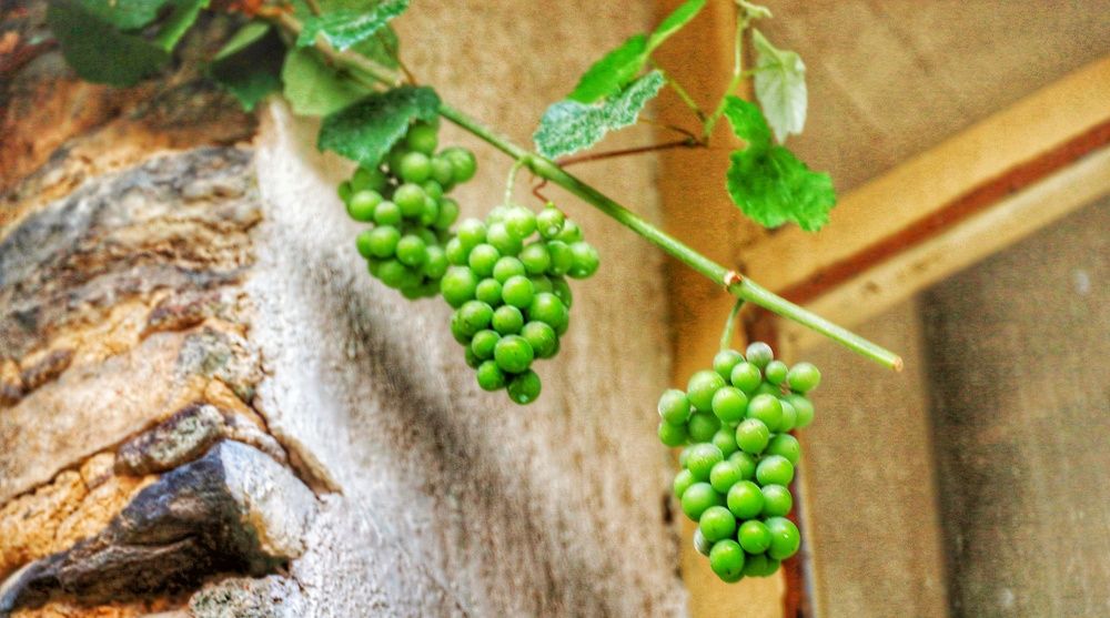 Photograph by ismail alper senova