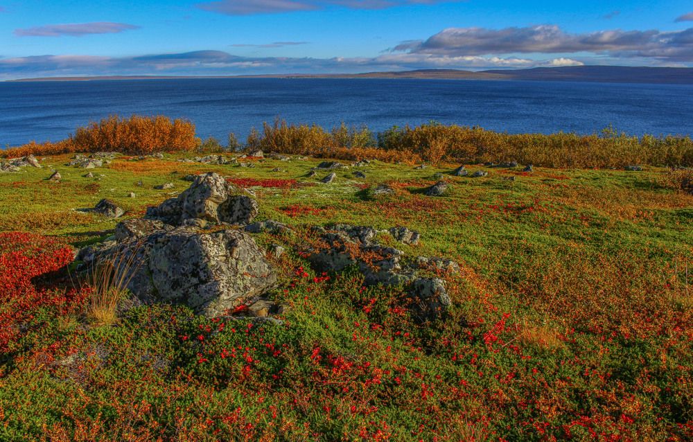Осень в Мурманской области