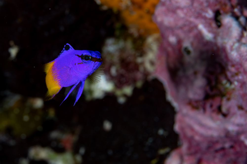 Photograph by Santiago Estrada R