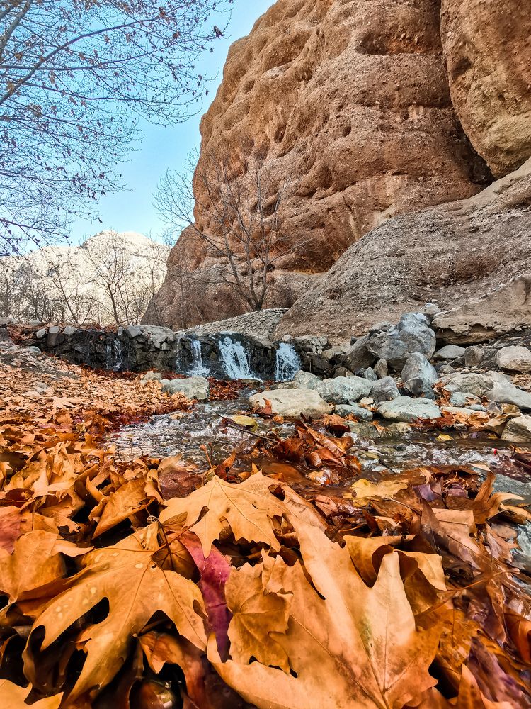 Фотография автора Mohamad reza Mohamad abadi