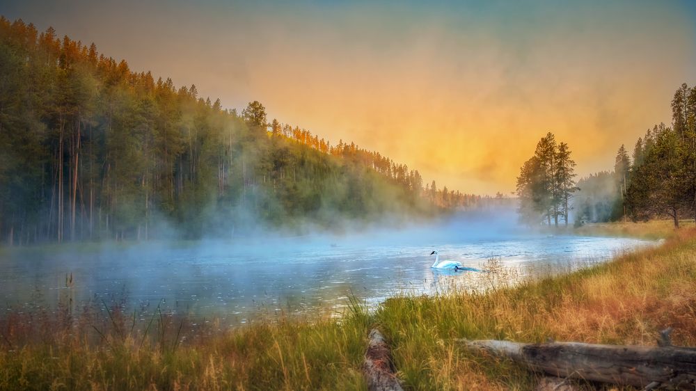 Morning of Yellowstone