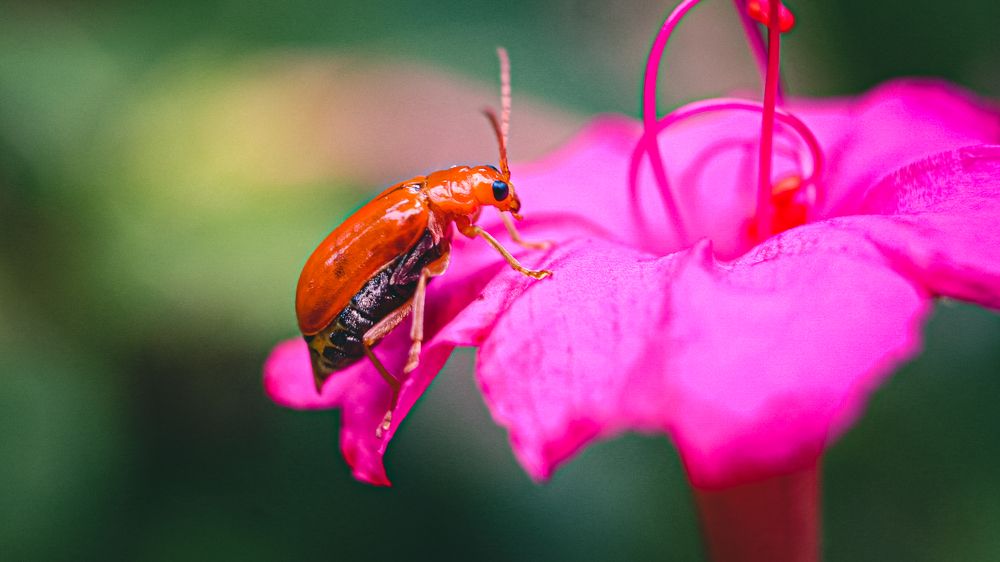 Photograph by Ekra Tasfia