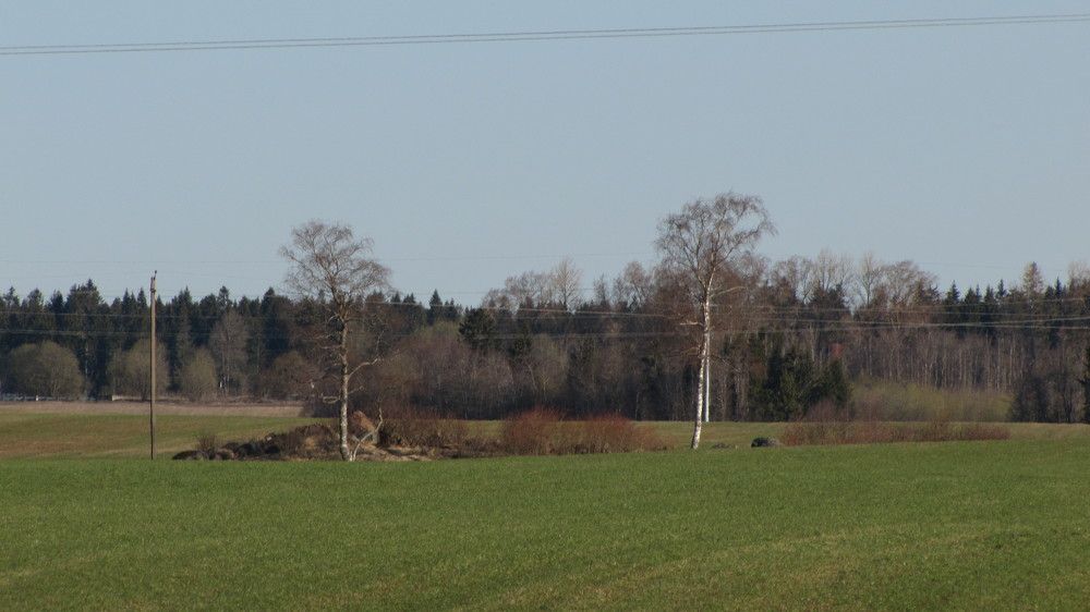 Photograph by Ильяс Альмухаметов
