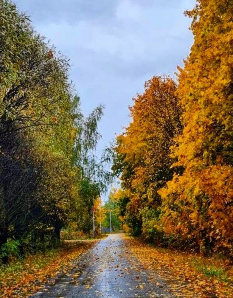 Photograph by Elena Lukashina