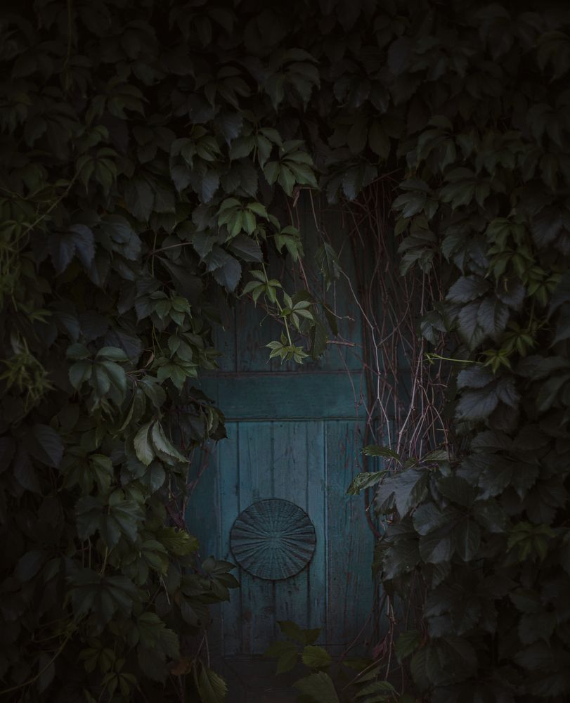 Photograph by Елена Фокина