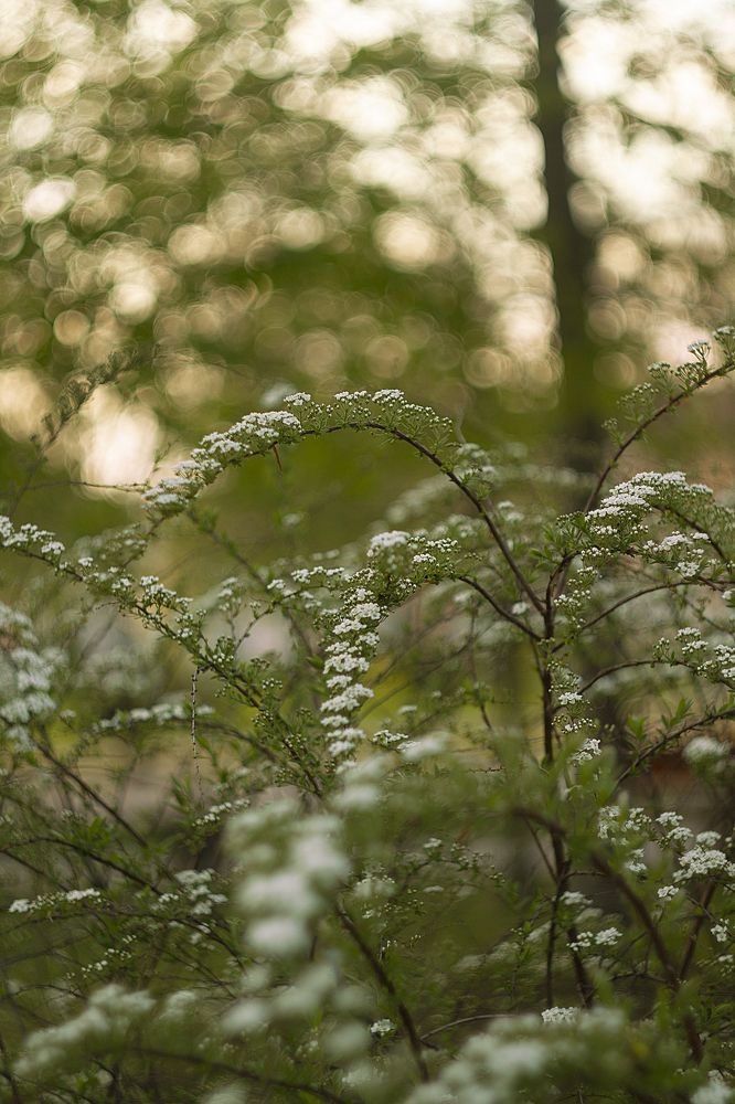 Photograph by Алена Полетаева
