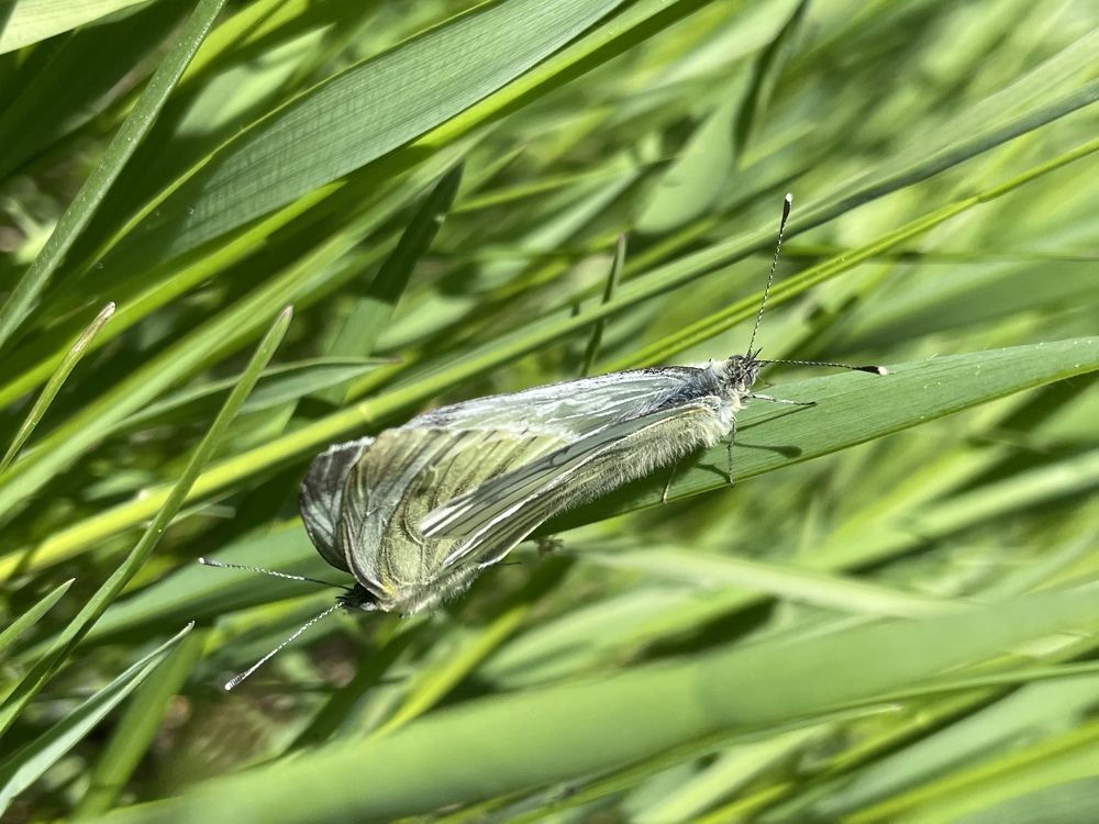 Фотография автора Anna Kochergina