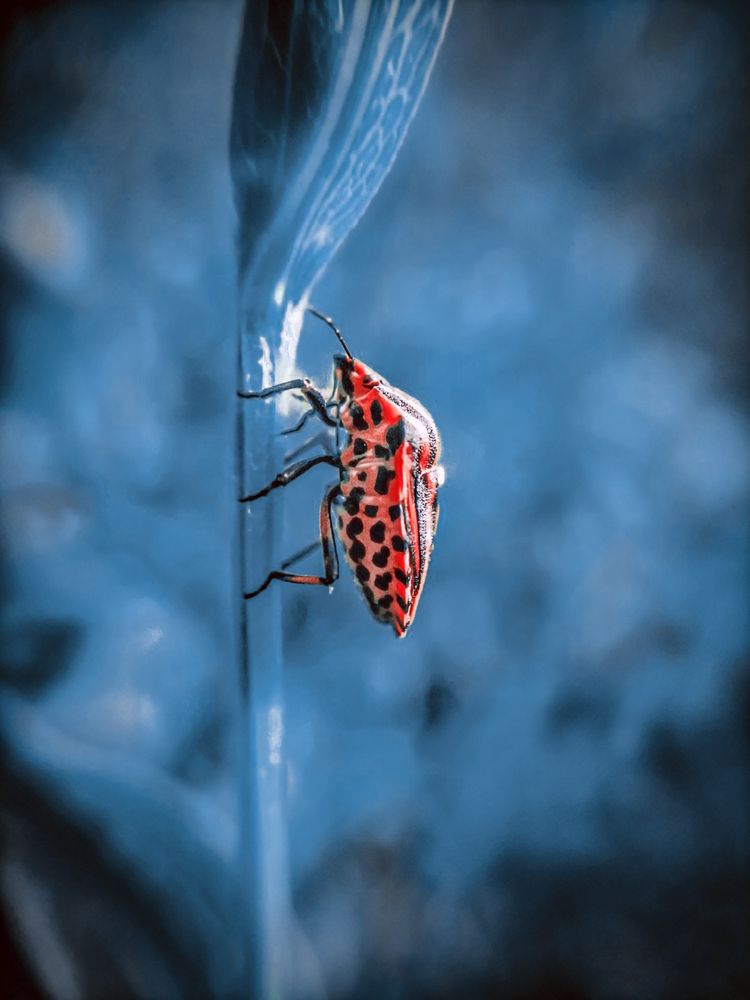 Photograph by Fadeeva Ekaterina