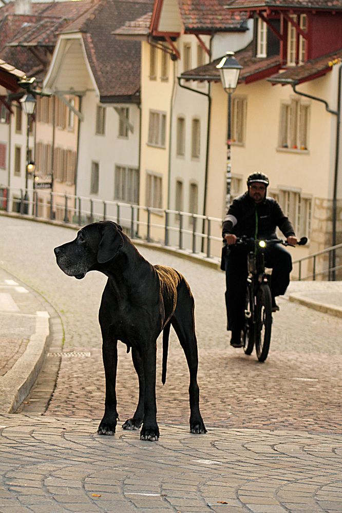 Photograph by Диана Ульянцева