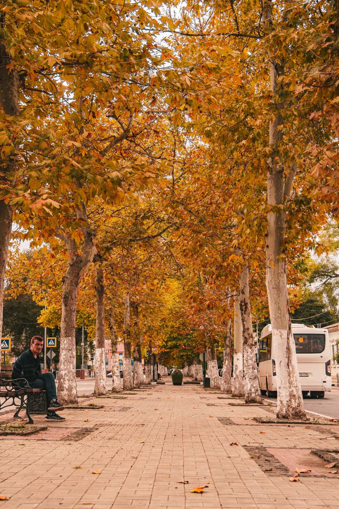 Photograph by Алексей Марченков