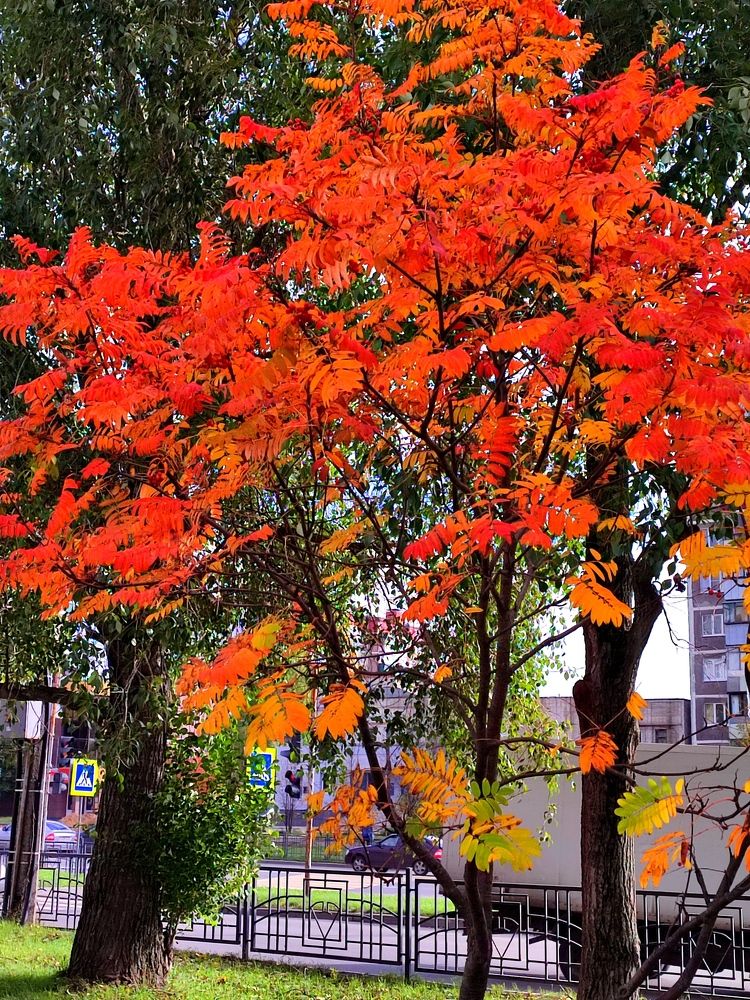 Photograph by Евгений Захаров