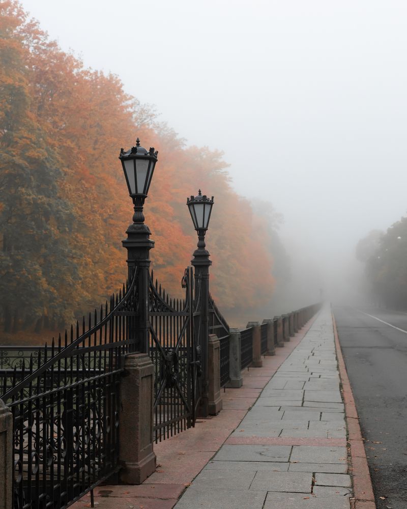 Фотография автора Evgeny