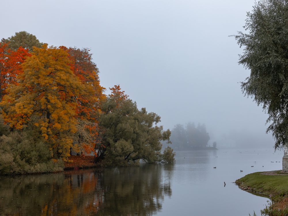 Фотография автора Evgeny